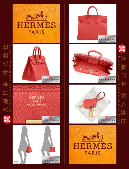 HERMES test CONSTANCE MINI (Pre-Owned) – Ombre, Natural lizard skin, Phw test2